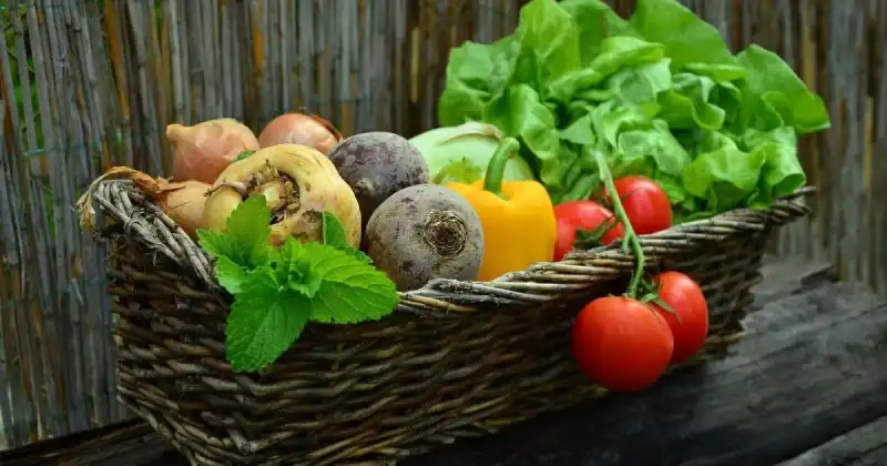 Прості продукти, що допомагають зберегти судини чистими: як харчування впливає на рівень холестерину