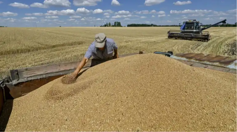 ЄС повертає квоти на агроекспорт з України: що і скільки можна буде продавати