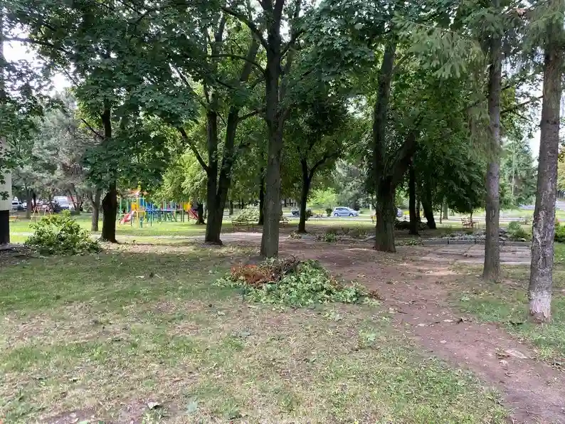 Спека, вітер і хмари: якою буде погода на Харківщині на старті тижня