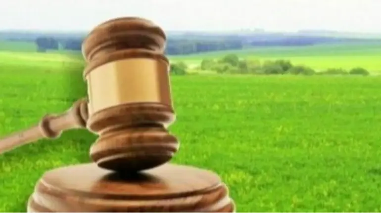 Суд повернув Турківській міськраді землю, яку “Карпатська ВЕС” орендувала, але не платила